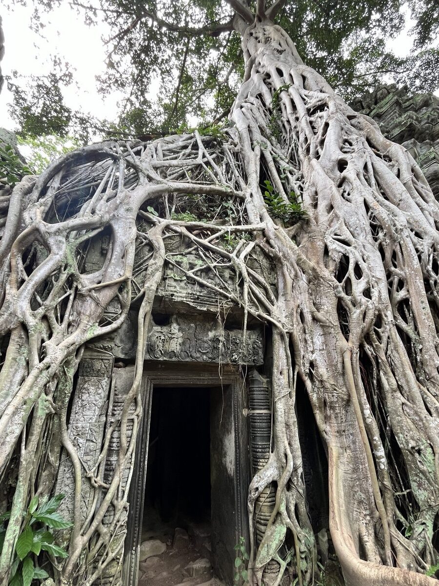 Des monuments principaux Angkor Thom- Angkor Wat- Taprohm